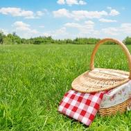 Great Lakes Region: Annual Picnics (Michigan)