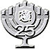 25 Years: Silver Pin